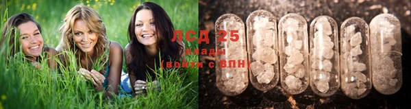 эйфоретик Аркадак