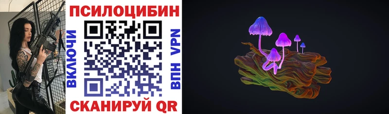 Псилоцибиновые грибы Psilocybe  Октябрьск 